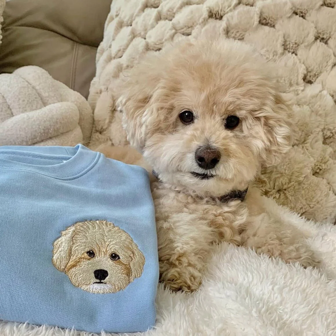 Embroidered Pet Portrait Organic Sweatshirt