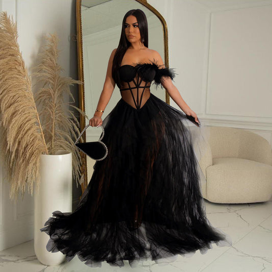 Sleeveless Backless Layered Mesh See Through Feather Long Evening Dresses