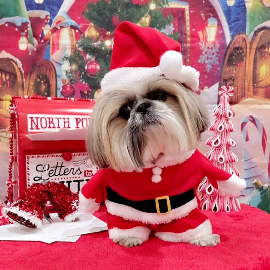 Christmas pet costumes