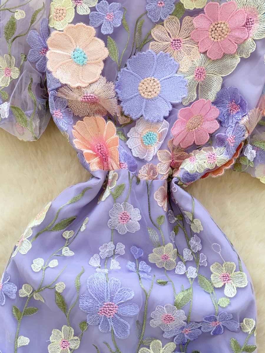 Heavy Flower Embroidered Dress